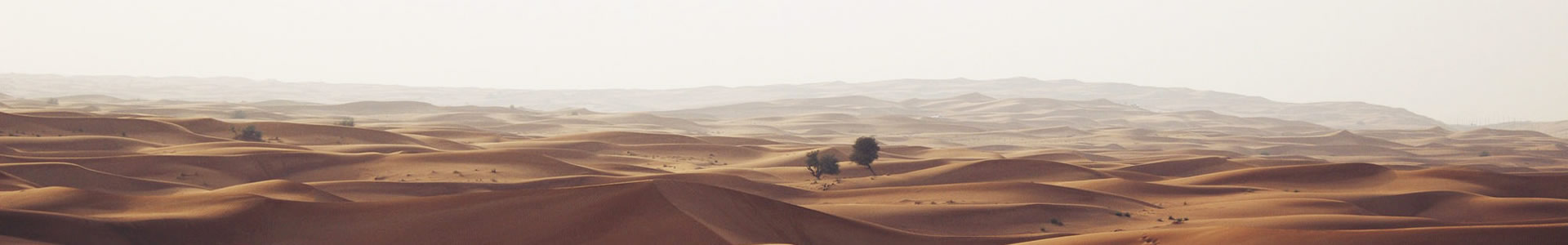 ʻƺ޹˾